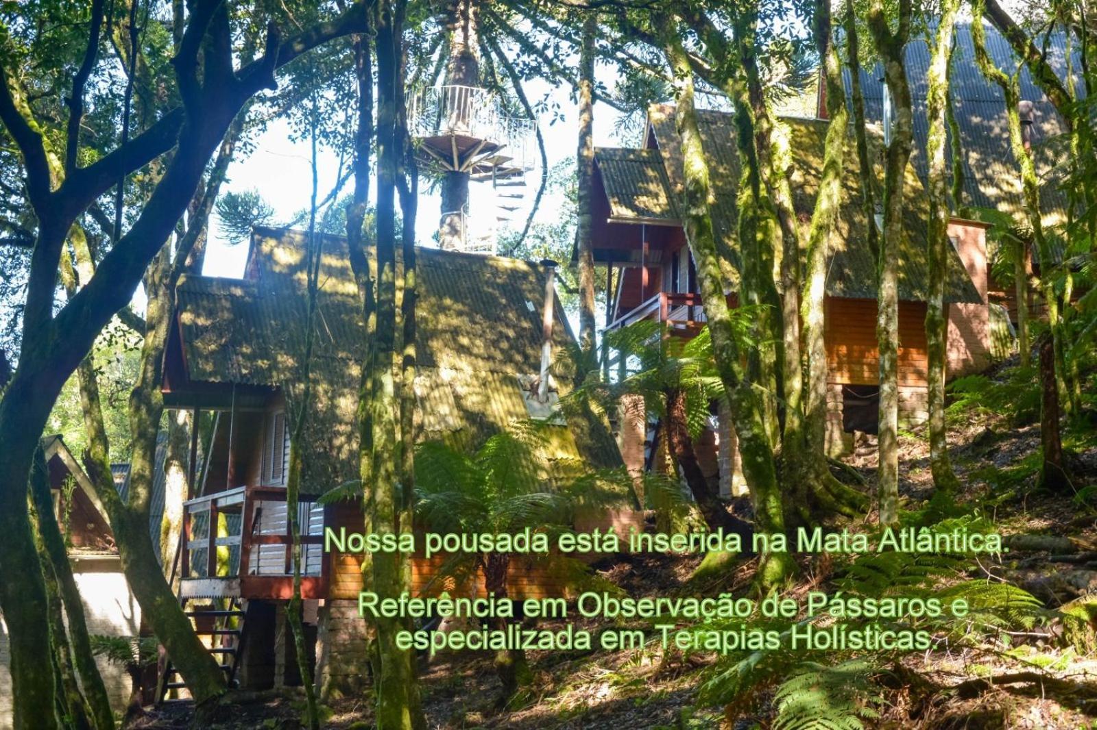Recanto Da Mata Pousada São Francisco de Paula エクステリア 写真